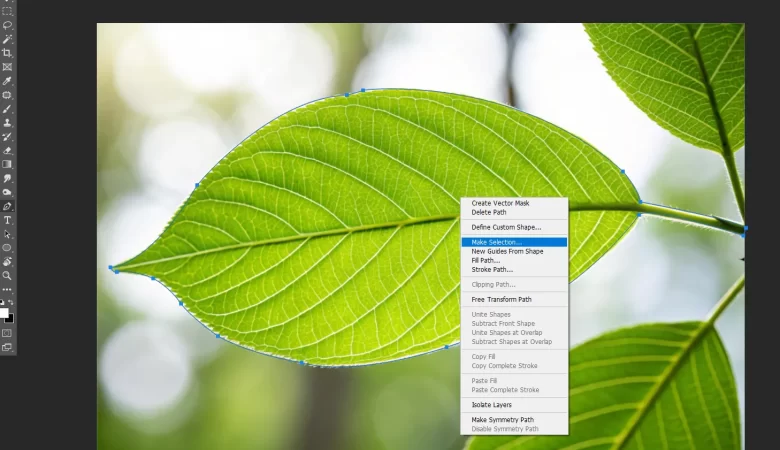How to Remove Background in Photoshop?