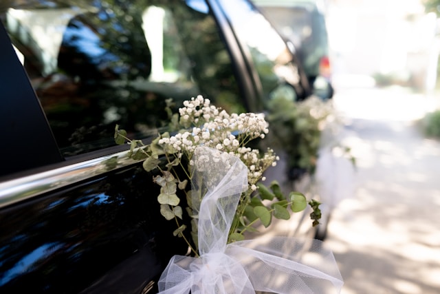 wedding photography for beginners