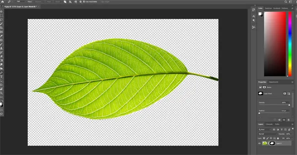 How to Remove Background in Photoshop