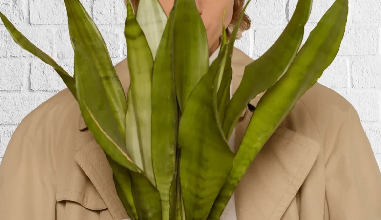 How to Change the Background of a Picture?