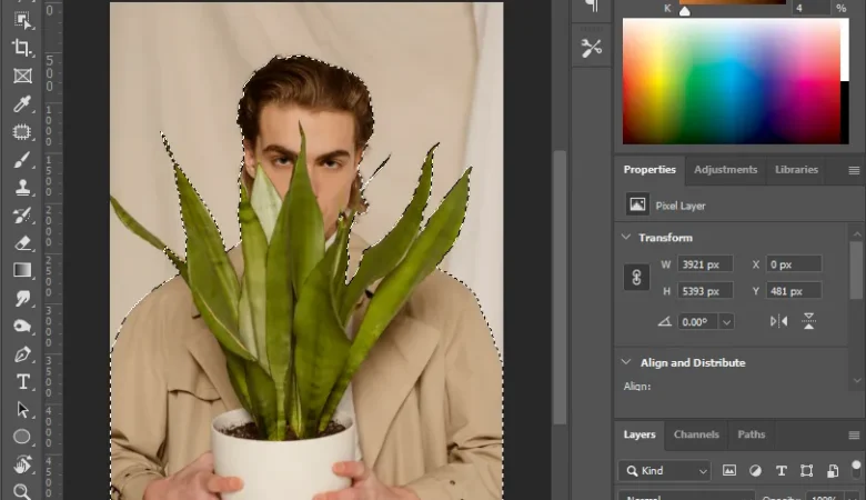 How to remove unwanted objects from photos professionally?